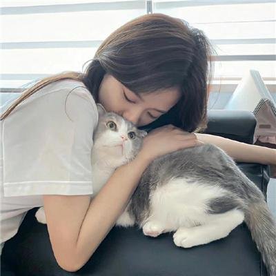 飞鹰人